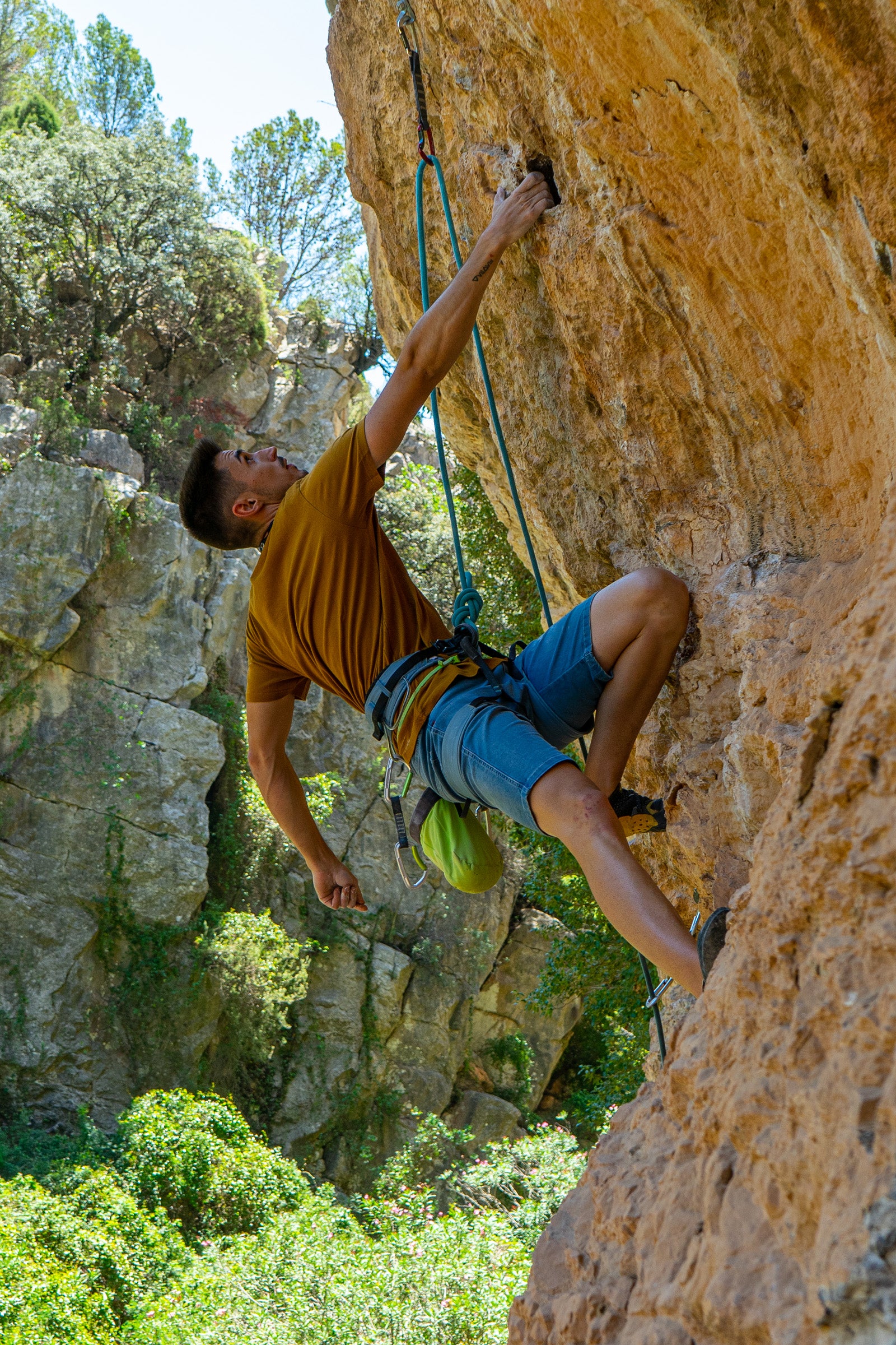 Camiseta Algodón Orgánico Mountains Mustard