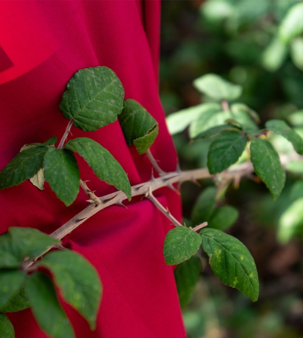 Camiseta Técnica MTB Lux ML Grana